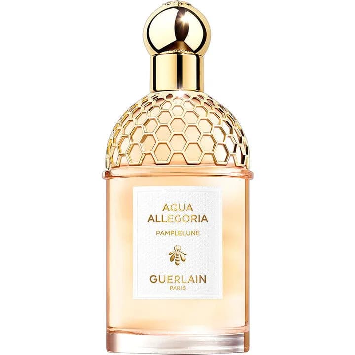 Aqua Allegoria Pamplelune