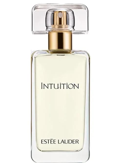 Intuition